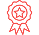 premium icon